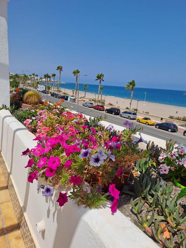 MS/ZG/13: Apartment for Rent in Mojácar Playa, Almería MS/ZG/13: Apartment for Rent in Mojácar Playa, Almería